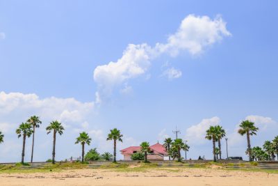 マリーナ河芸の写真「真夏のマリーナ」