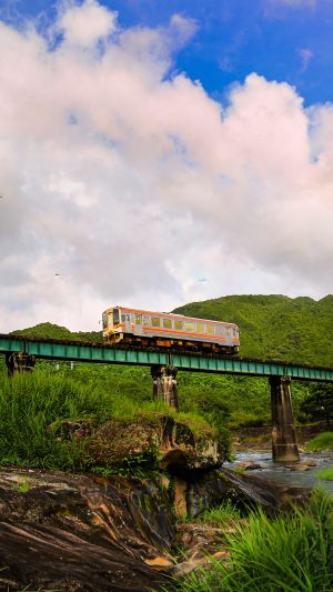 真夏の家城ライン