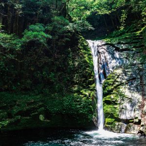 木漏れ日に輝く布曳滝