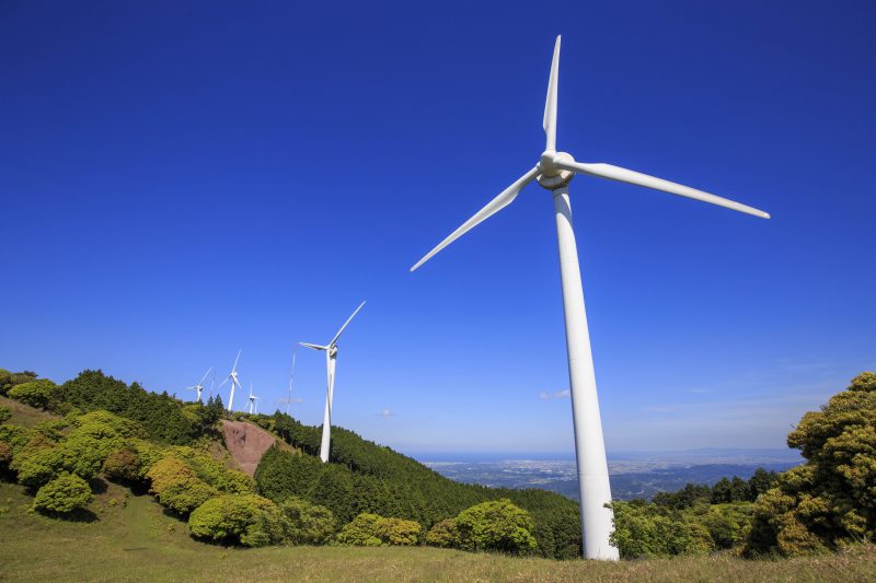 青山高原の写真「新緑風車」