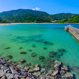 新鹿海水浴場の写真「エメラルドグリーンの漁港」