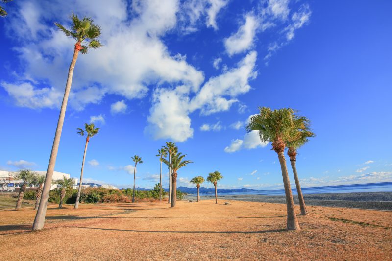 七里御浜ふれあいビーチの写真「冬の青空」