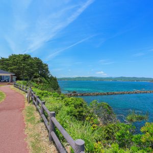 芝生広場の灯台カフェと的矢湾