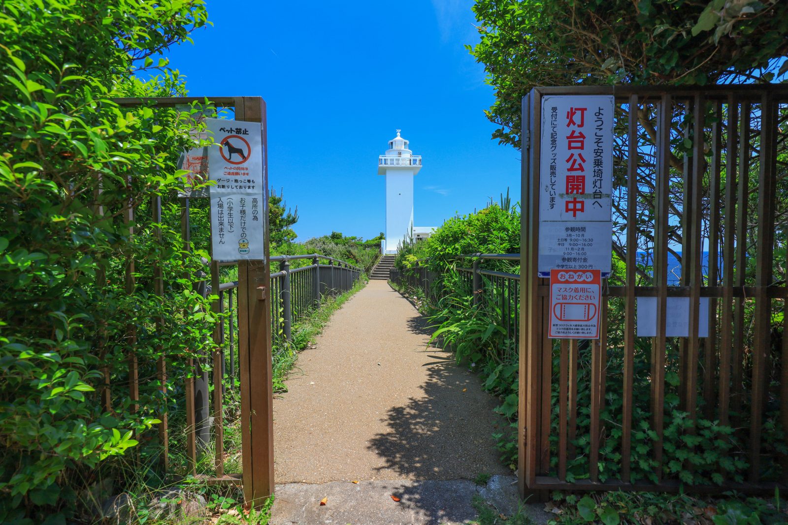 安乗埼灯台の写真「灯台公開中」