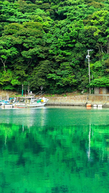 大王埼灯台の写真「新緑の波切漁港」