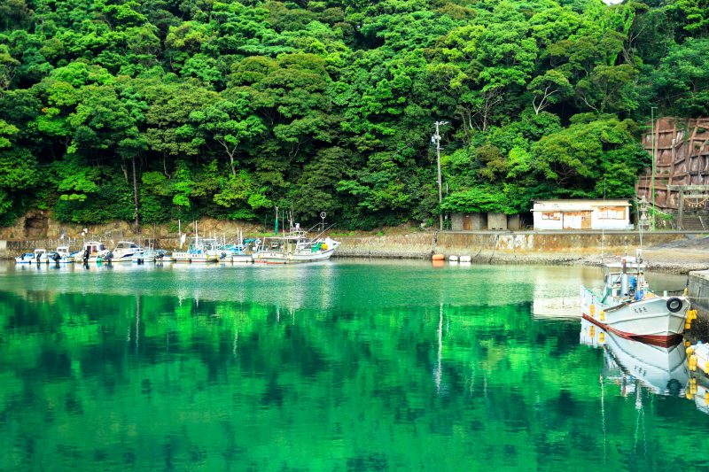 大王埼灯台の写真「新緑の波切漁港」