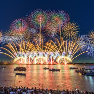 桑名水郷花火大会の写真「美しい夜空と連発花火」