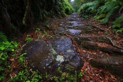 馬越峠の写真「雨の石畳」