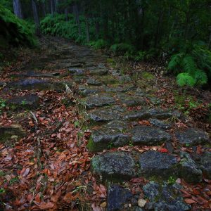 石畳の続く登山道