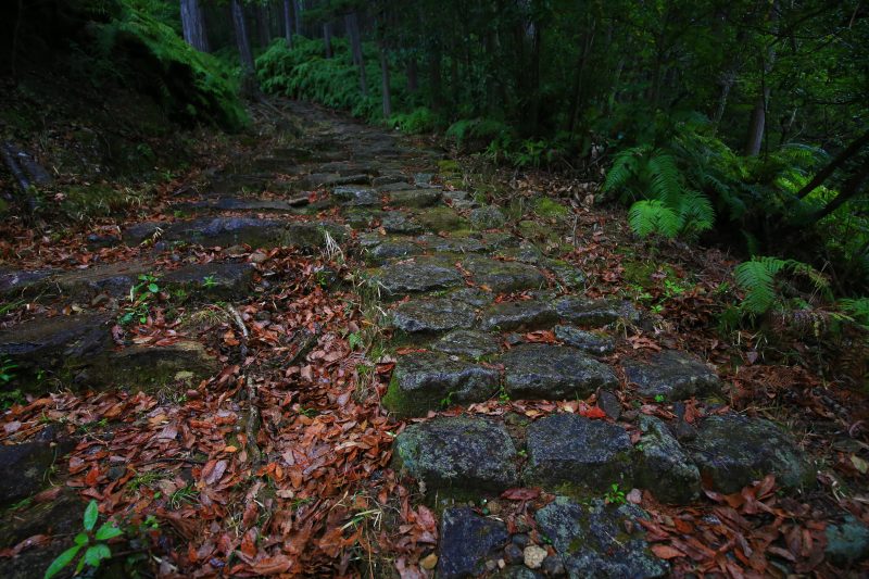 馬越峠の写真「石畳の続く登山道」