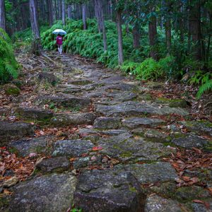 雨の石畳を歩く