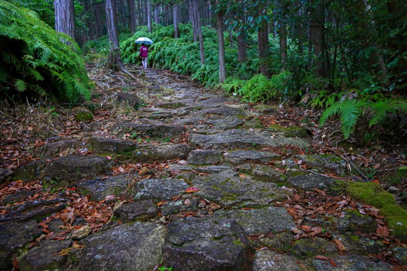 馬越峠の写真「雨の石畳を歩く」