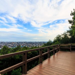 四日市コンビナートの写真「垂坂公園の展望広場」