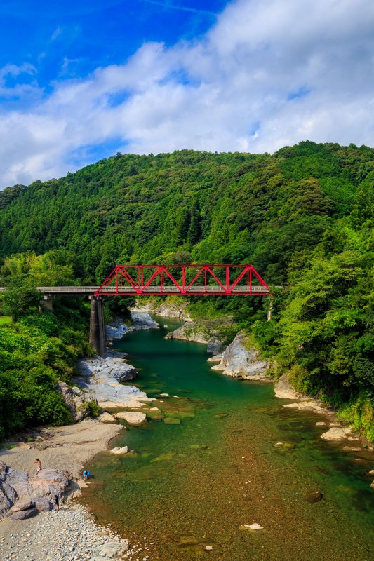 香肌峡の写真「野々口橋の新緑」