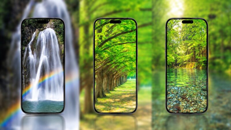 【無料】緑・グリーンの壁紙50選💚シンプルでおしゃれな新緑・自然のスマホ壁紙＆待ち受け