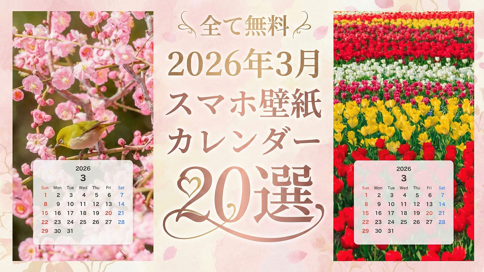 【無料】2026年3月カレンダーのスマホ壁紙20選✨️河津桜・梅・チューリップなどのカレンダー付き待ち受けを厳選