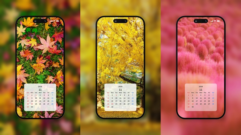【無料】2026年11月カレンダーのスマホ壁紙20選✨紅葉・イチョウ・コキア・コスモスを厳選