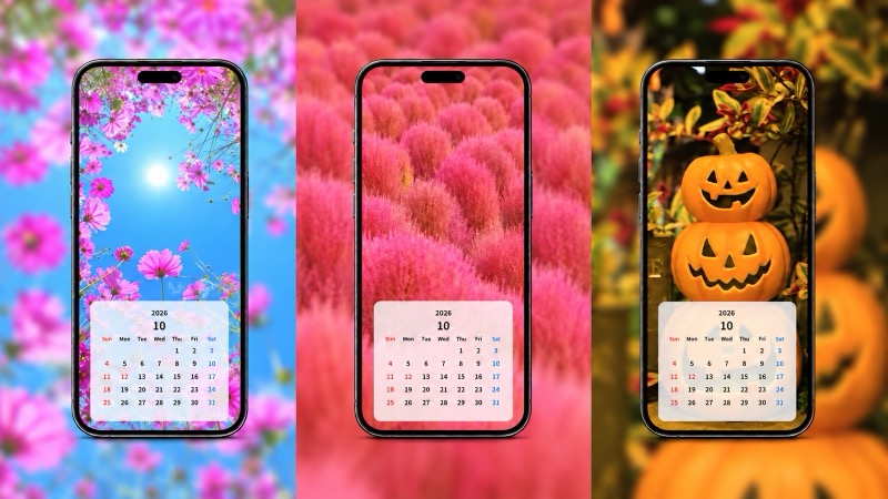 【無料】2026年10月カレンダーのスマホ壁紙20選✨コスモス・ハロウィン・コキアなど秋の待ち受けを厳選