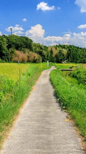 無料壁紙 棚田の遊歩道。PCとデスクトップ壁紙に最適な4K高画質の無料壁紙。三重県伊賀市の西山の棚田で撮影したフリー写真素材