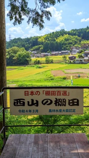 無料壁紙 展望台からの眺め。PCとデスクトップ壁紙に最適な4K高画質の無料壁紙。三重県伊賀市の西山の棚田で撮影したフリー写真素材