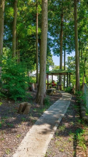 無料壁紙 展望台まで続く遊歩道。PCとデスクトップ壁紙に最適な4K高画質の無料壁紙。三重県伊賀市の西山の棚田で撮影したフリー写真素材