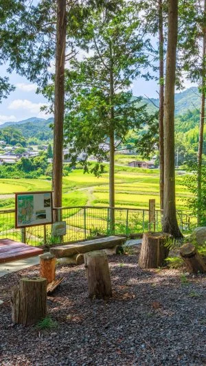 無料壁紙 展望台近くの休憩スペース。PCとデスクトップ壁紙に最適な4K高画質の無料壁紙。三重県伊賀市の西山の棚田で撮影したフリー写真素材