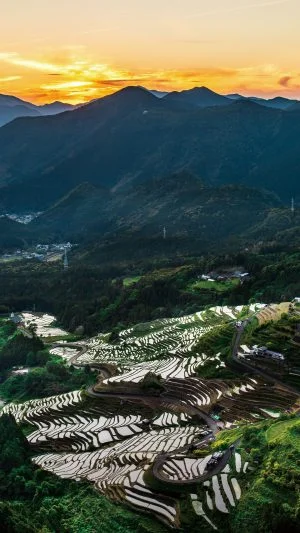 無料スマホ壁紙 夕焼けの千枚田。AndroidとiPhoneに対応した4K高画質の無料待ち受け画像。三重県熊野市の丸山千枚田で撮影したフリー写真素材