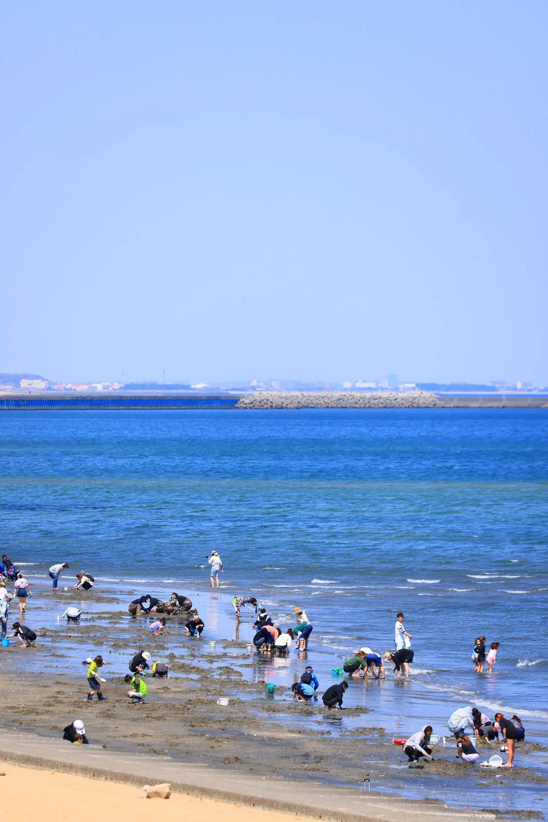 無料スマホ壁紙 潮干狩り。AndroidとiPhoneに対応した4K高画質の無料待ち受け画像。三重県津市の御殿場海岸で撮影したフリー写真素材