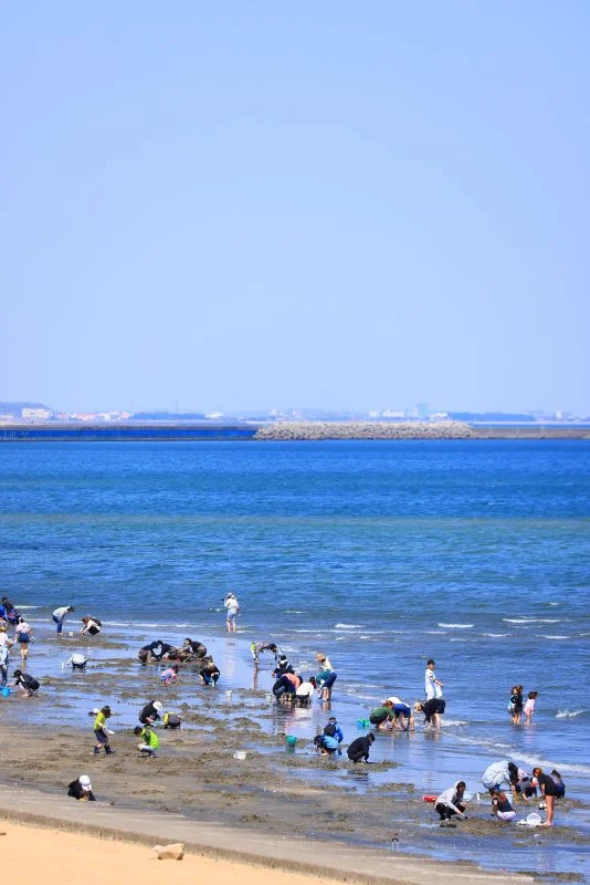 無料スマホ壁紙 潮干狩り。AndroidとiPhoneに対応した4K高画質の無料待ち受け画像。三重県津市の御殿場海岸で撮影したフリー写真素材