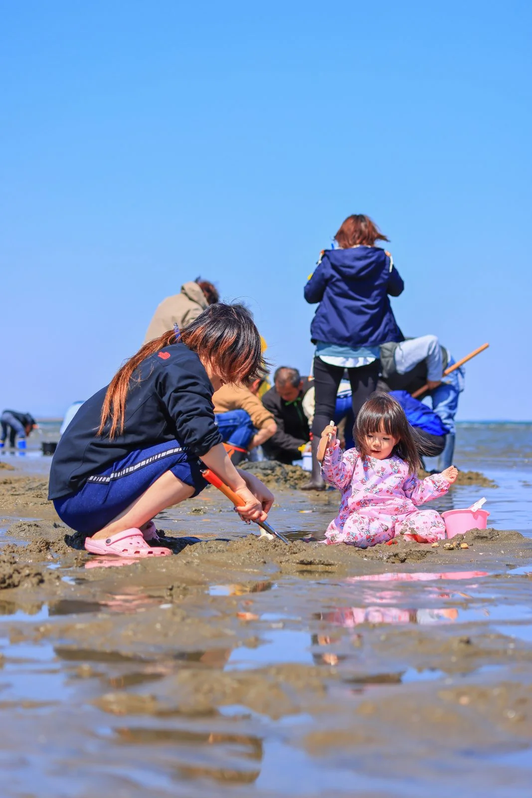 無料スマホ壁紙 潮干狩りの黙々とする親子。AndroidとiPhoneに対応した4K高画質の無料待ち受け画像。三重県津市の御殿場海岸で撮影したフリー写真素材