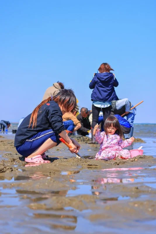 無料スマホ壁紙 潮干狩りの黙々とする親子。AndroidとiPhoneに対応した4K高画質の無料待ち受け画像。三重県津市の御殿場海岸で撮影したフリー写真素材