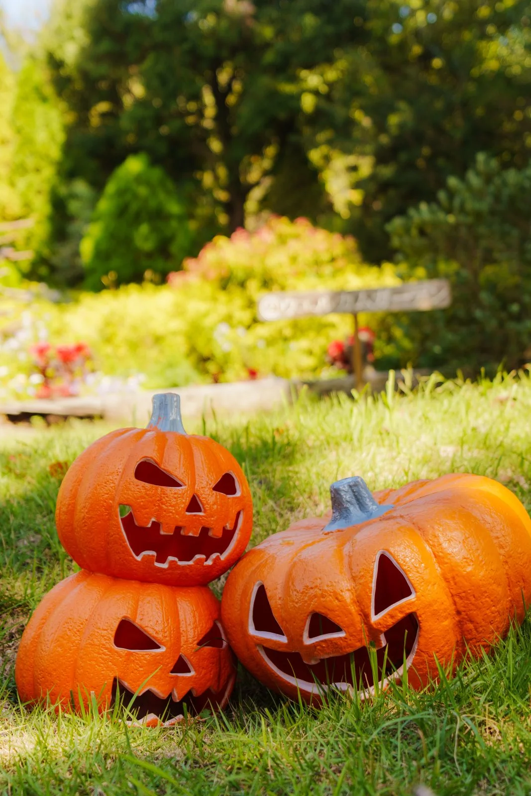 無料スマホ壁紙 カボチャおばけの井戸端会議。AndroidとiPhoneに対応した4K高画質の無料待ち受け画像。三重県津市のレッドヒルヒーサーの森で撮影したフリー写真素材