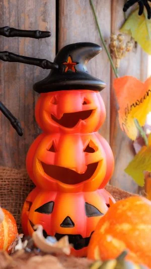 無料スマホ壁紙 かぼちゃおばけ三兄弟。AndroidとiPhoneに対応した4K高画質の無料待ち受け画像。三重県津市のレッドヒルヒーサーの森で撮影したフリー写真素材