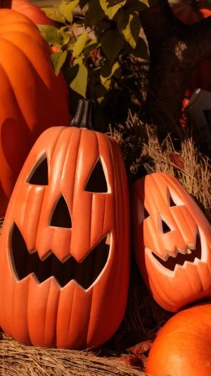 無料スマホ壁紙 まるで親子なカボチャのおばけ。AndroidとiPhoneに対応した4K高画質の無料待ち受け画像。三重県津市のレッドヒルヒーサーの森で撮影したフリー写真素材