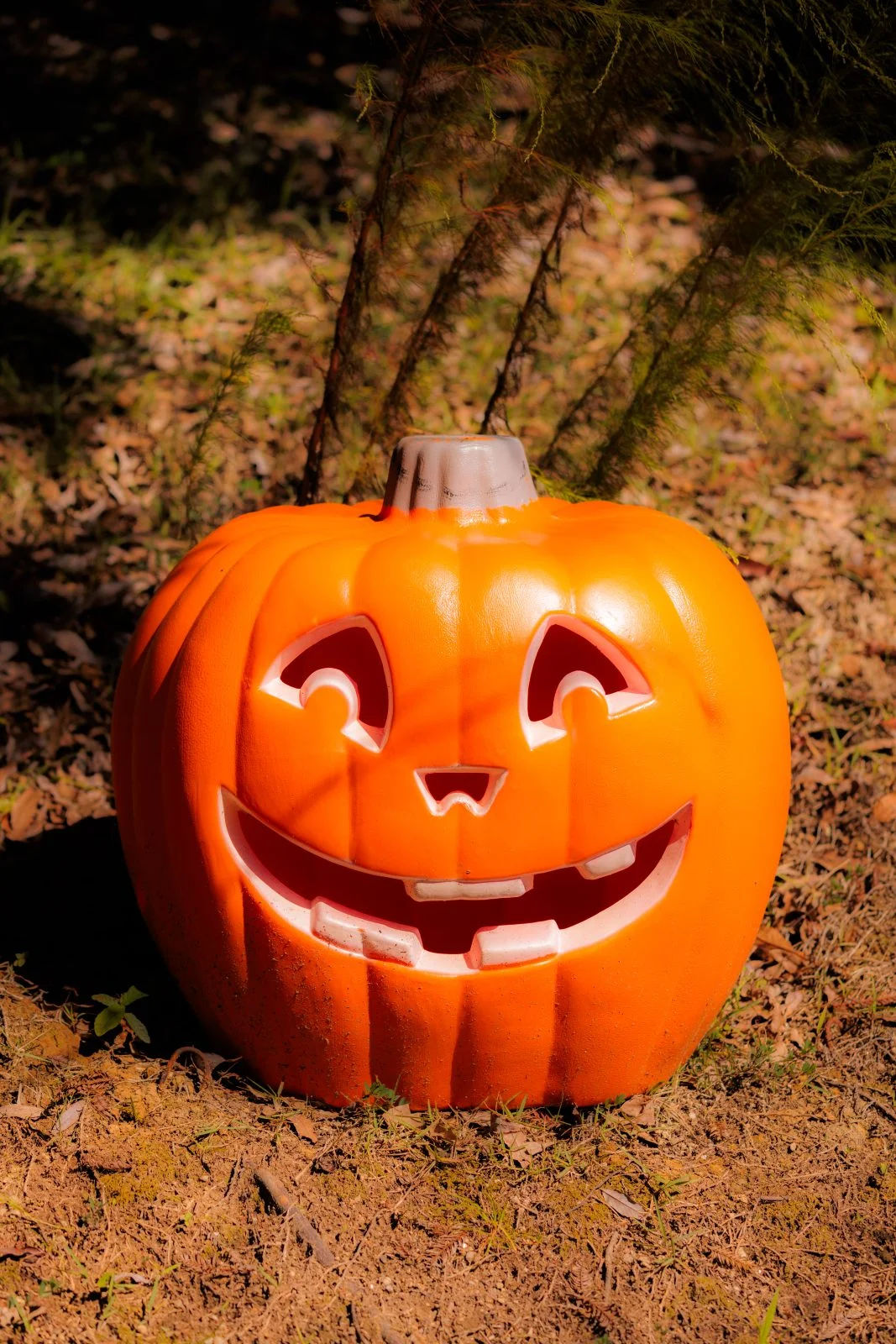 無料スマホ壁紙 怪しい微笑みを浮かべるカボチャのおばけ。AndroidとiPhoneに対応した4K高画質の無料待ち受け画像。三重県津市のレッドヒルヒーサーの森で撮影したフリー写真素材
