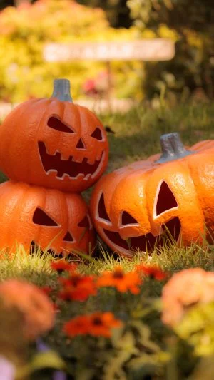 無料スマホ壁紙 寄り添うカボチャのおばけ。AndroidとiPhoneに対応した4K高画質の無料待ち受け画像。三重県津市のレッドヒルヒーサーの森で撮影したフリー写真素材