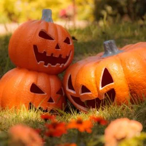 無料スマホ壁紙 寄り添うカボチャのおばけ。AndroidとiPhoneに対応した4K高画質の無料待ち受け画像。三重県津市のレッドヒルヒーサーの森で撮影したフリー写真素材