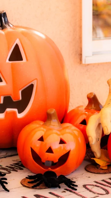 無料壁紙 カボチャのおばけ大集合。PCとデスクトップ壁紙に最適な4K高画質の無料壁紙。三重県津市のレッドヒルヒーサーの森で撮影したフリー写真素材