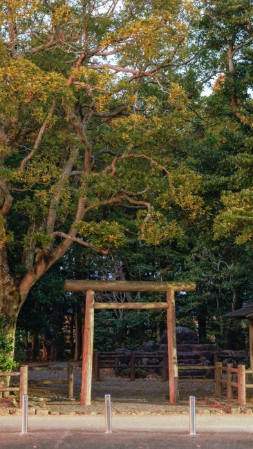 無料壁紙 森の中に立つ鳥居。PCとデスクトップ壁紙に最適な4K高画質の無料壁紙。三重県明和町の斎王の森で撮影したフリー写真素材