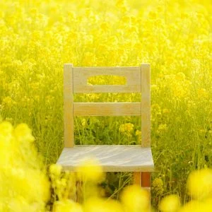 無料スマホ壁紙 菜の花畑の特等席。AndroidとiPhoneに対応した4K高画質の無料待ち受け画像。三重県玉城町のアスピア玉城で撮影したフリー写真素材