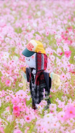 無料スマホ壁紙 コスモスに囲まれる笑顔のカカシ。AndroidとiPhoneに対応した4K高画質の無料待ち受け画像。三重県松阪市の笠松町のコスモス畑で撮影したフリー写真素材