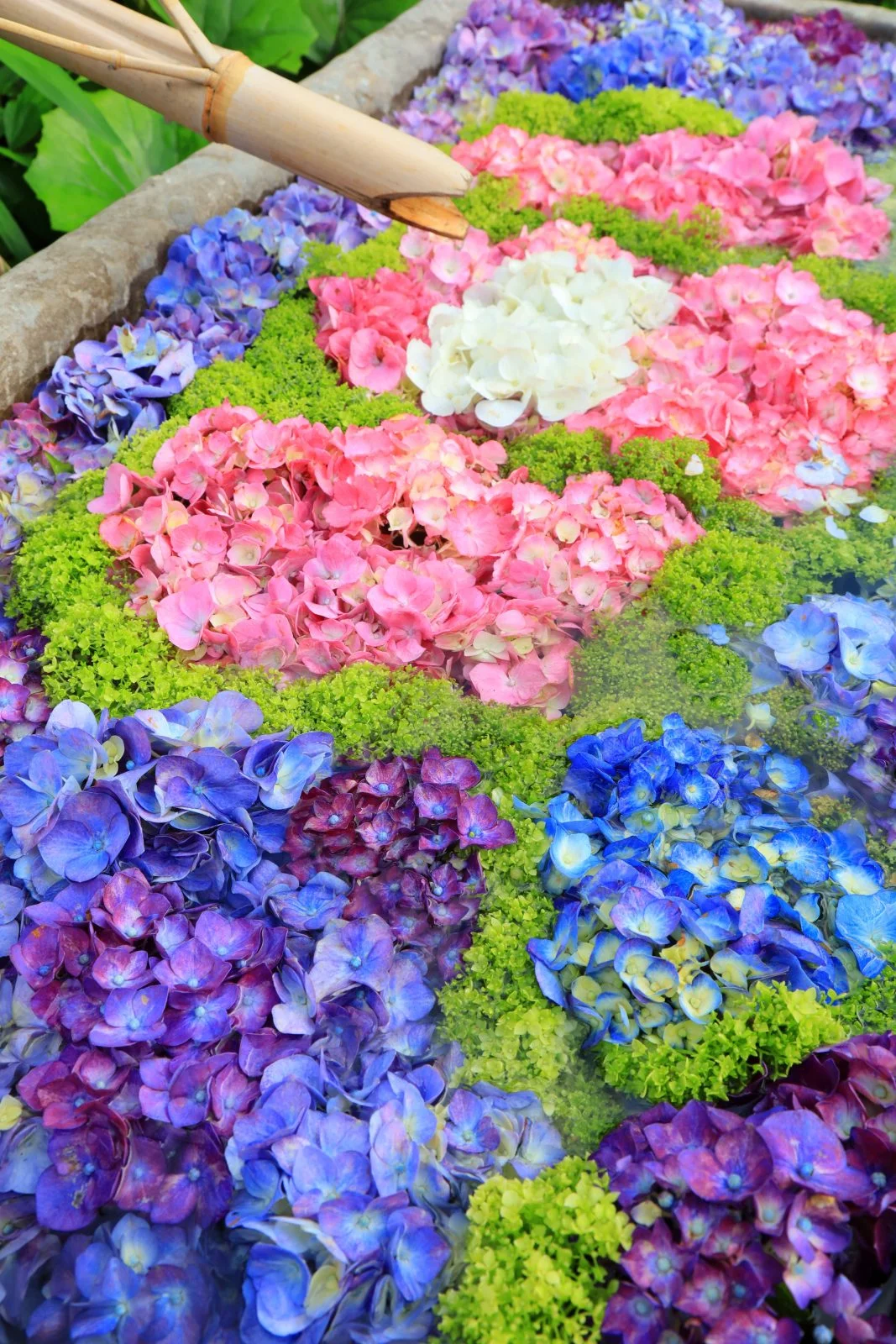 無料スマホ壁紙 花手水。AndroidとiPhoneに対応した4K高画質の無料待ち受け画像。三重県津市のかざはやの里で撮影したフリー写真素材