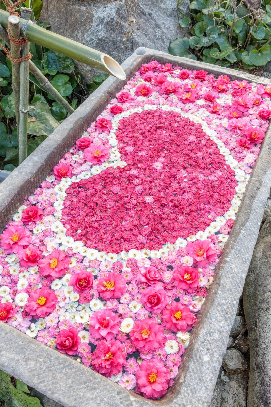 無料スマホ壁紙 幸せのハート花手水。AndroidとiPhoneに対応した4K高画質の無料待ち受け画像。三重県津市のかざはやの里で撮影したフリー写真素材