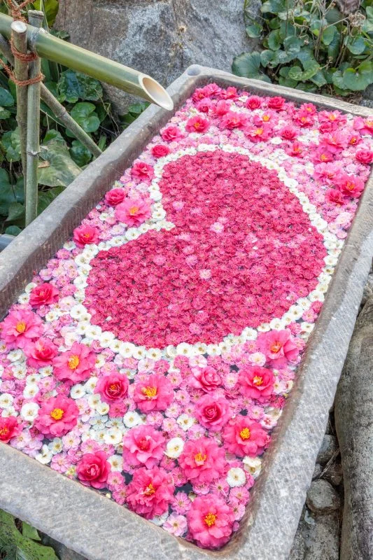 無料スマホ壁紙 幸せのハート花手水。AndroidとiPhoneに対応した4K高画質の無料待ち受け画像。三重県津市のかざはやの里で撮影したフリー写真素材