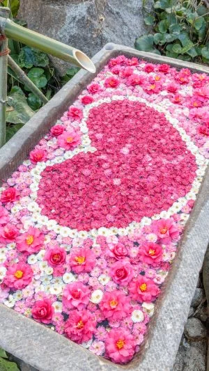 無料スマホ壁紙 幸せのハート花手水。AndroidとiPhoneに対応した4K高画質の無料待ち受け画像。三重県津市のかざはやの里で撮影したフリー写真素材