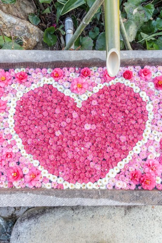 無料スマホ壁紙 梅のハート花手水。AndroidとiPhoneに対応した4K高画質の無料待ち受け画像。三重県津市のかざはやの里で撮影したフリー写真素材