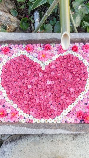 無料スマホ壁紙 梅のハート花手水。AndroidとiPhoneに対応した4K高画質の無料待ち受け画像。三重県津市のかざはやの里で撮影したフリー写真素材