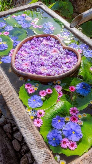 無料スマホ壁紙 初夏の花と藤が浮かぶ花手水。AndroidとiPhoneに対応した4K高画質の無料待ち受け画像。三重県津市のかざはやの里で撮影したフリー写真素材