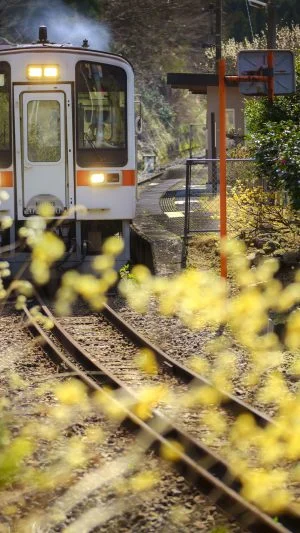 無料壁紙 ミツマタ列車発進！。PCとデスクトップ壁紙に最適な4K高画質の無料壁紙。三重県鉄道の名松線で撮影したフリー写真素材