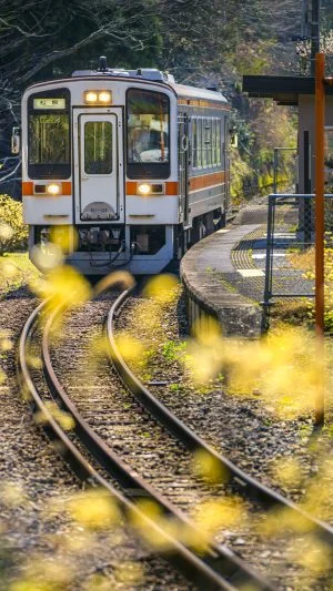 無料壁紙 ミツマタに囲まれる比津駅。PCとデスクトップ壁紙に最適な4K高画質の無料壁紙。三重県鉄道の名松線で撮影したフリー写真素材
